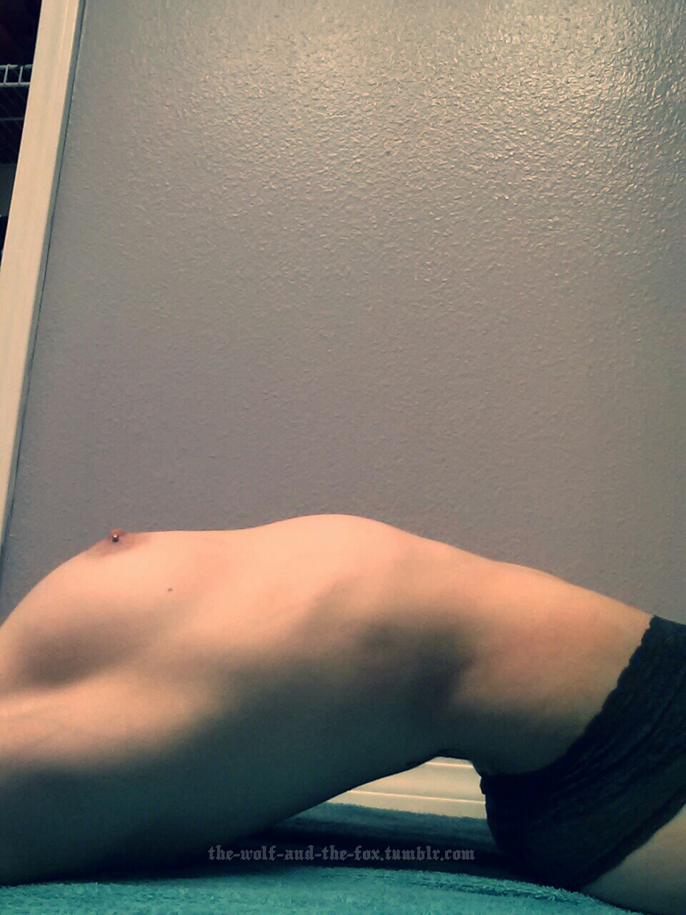 The Wolf and The Fox