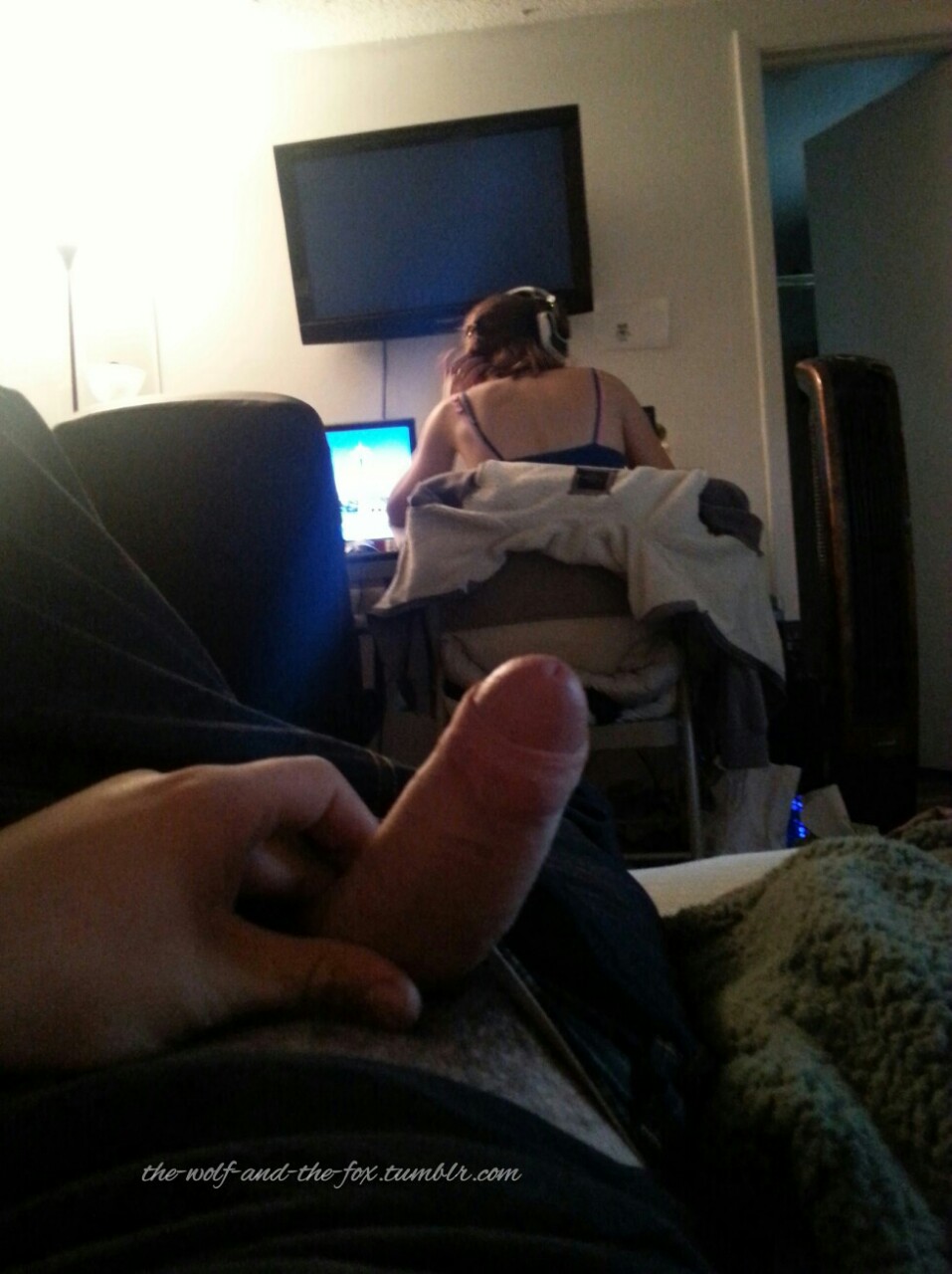 The Wolf and The Fox