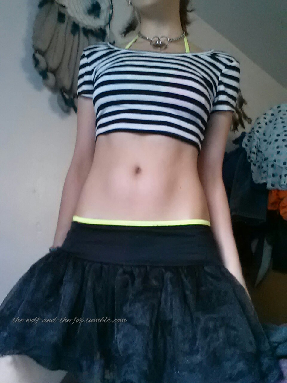 The Wolf and The Fox