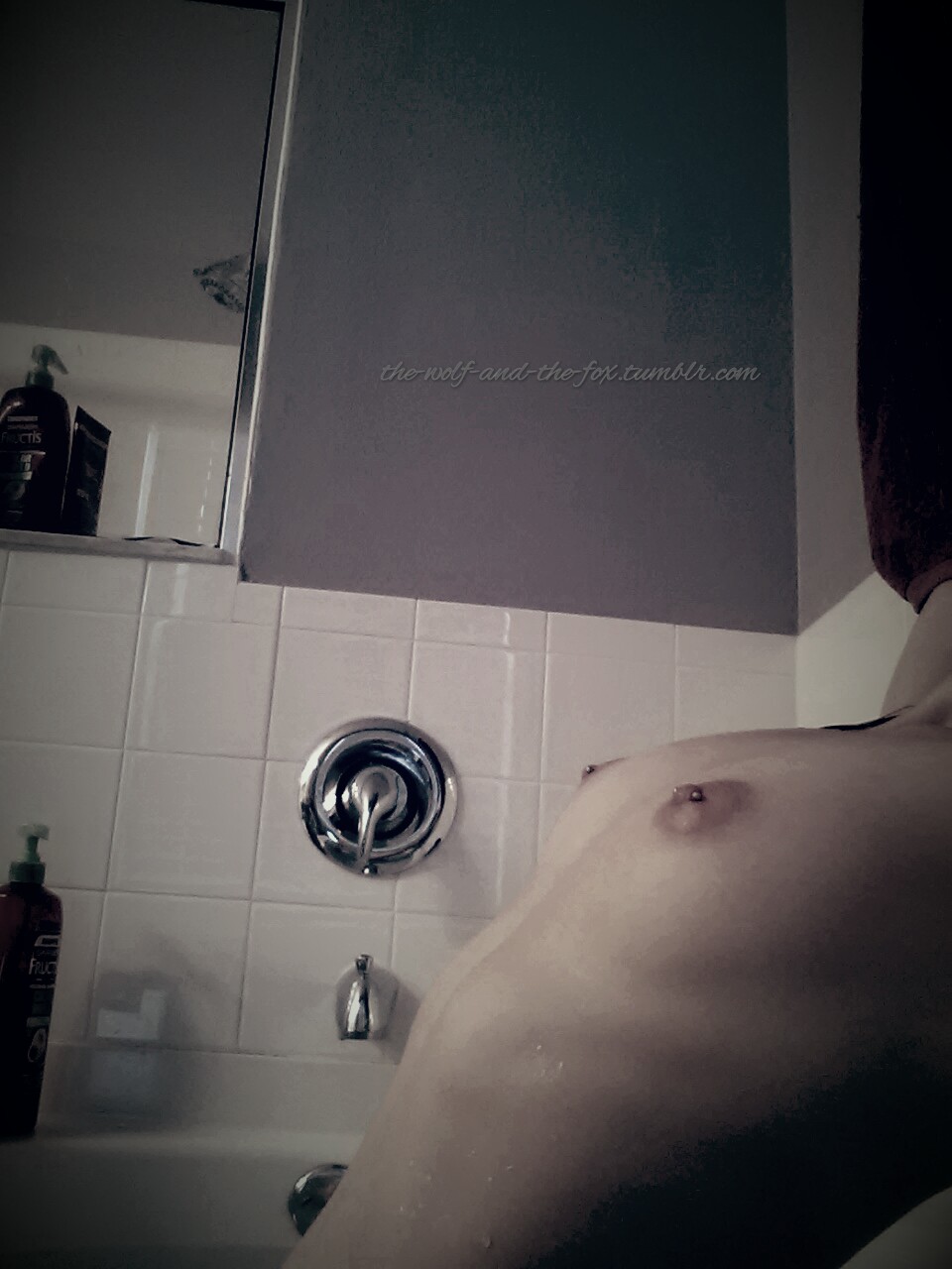 The Wolf and The Fox