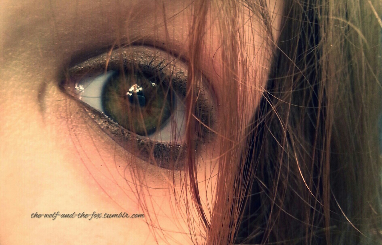 The Wolf and The Fox