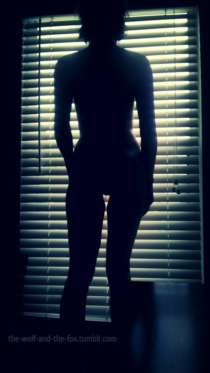 The Wolf and The Fox