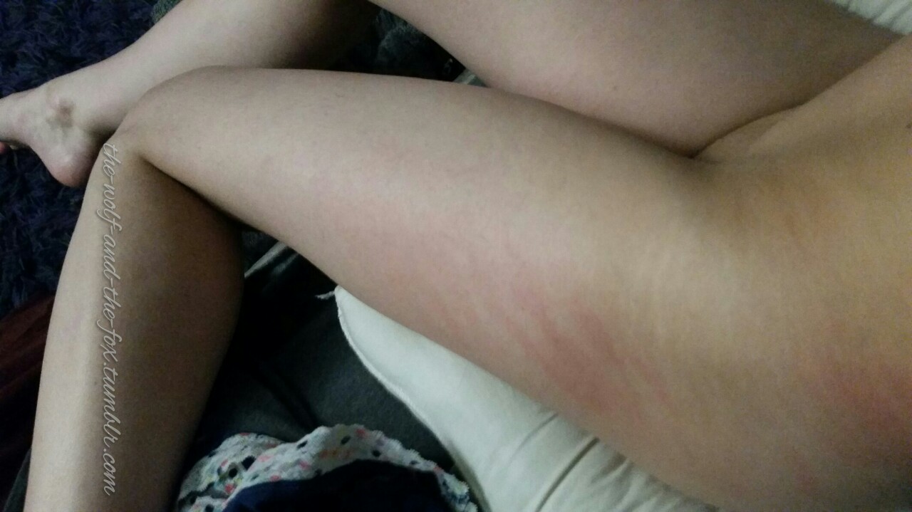 The Wolf and The Fox