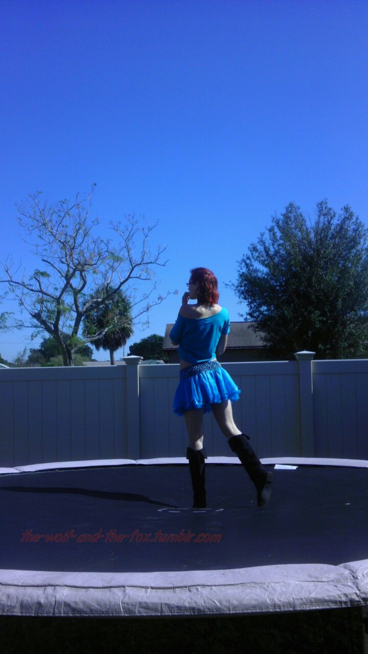 The Wolf and The Fox