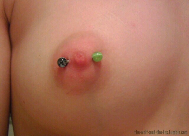 The Wolf and The Fox