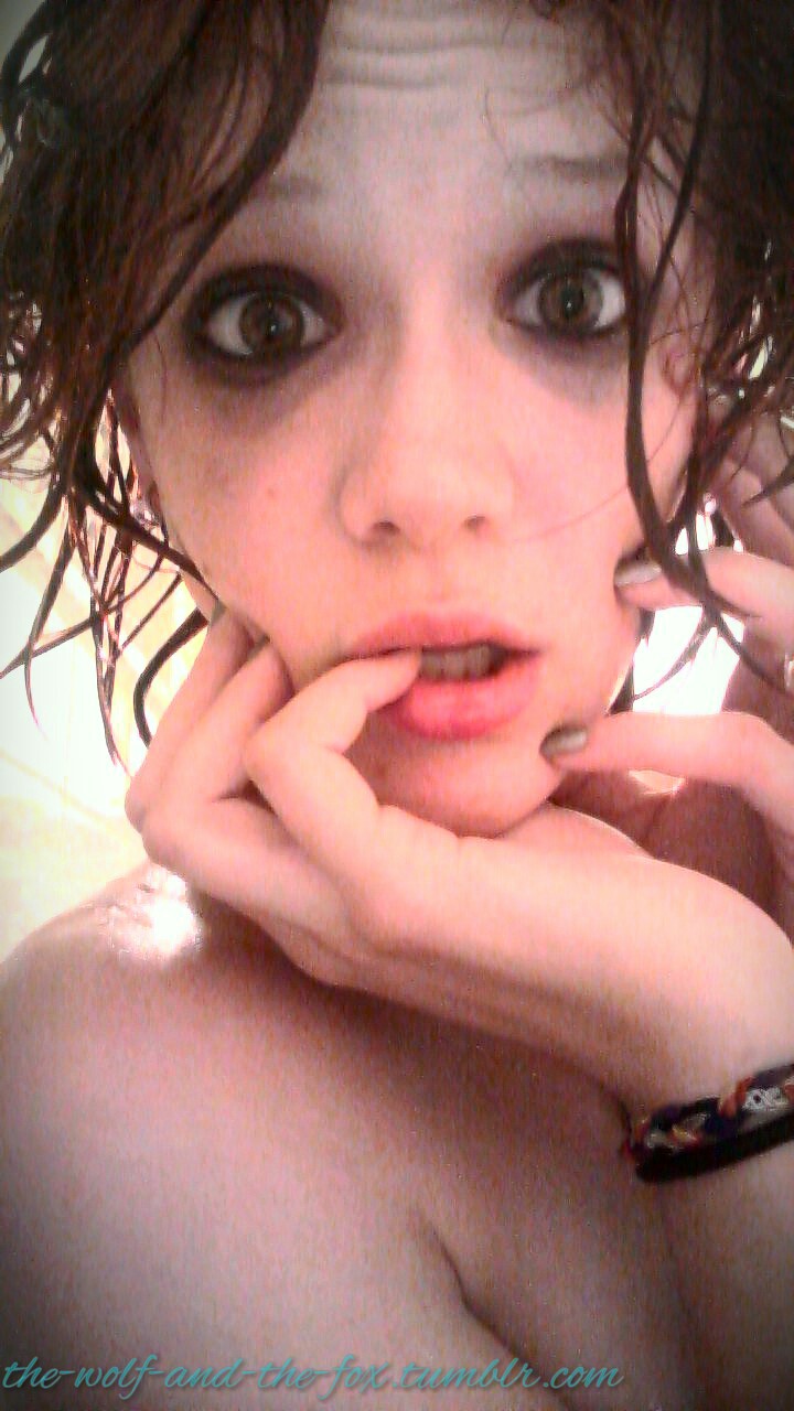 The Wolf and The Fox