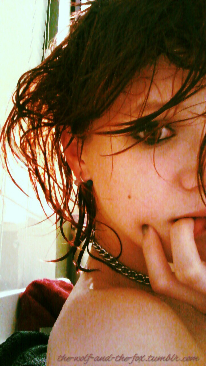 The Wolf and The Fox