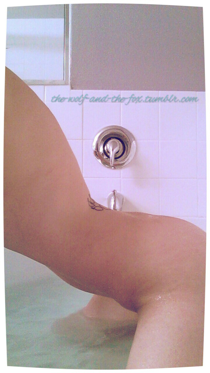 The Wolf and The Fox