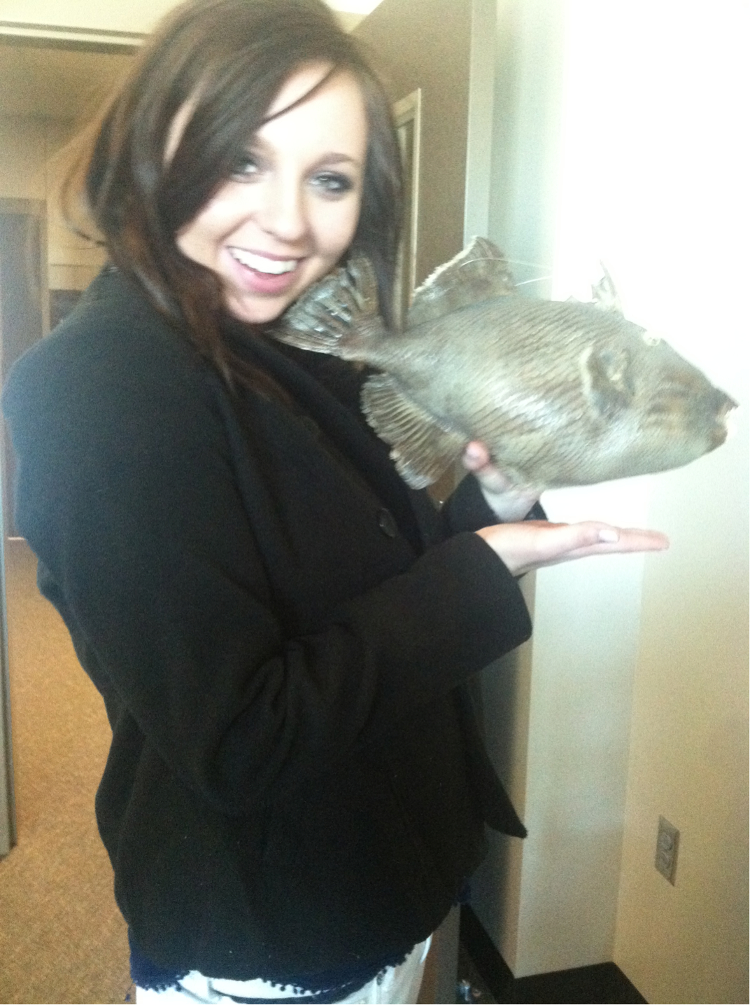 Hello From The Other Side