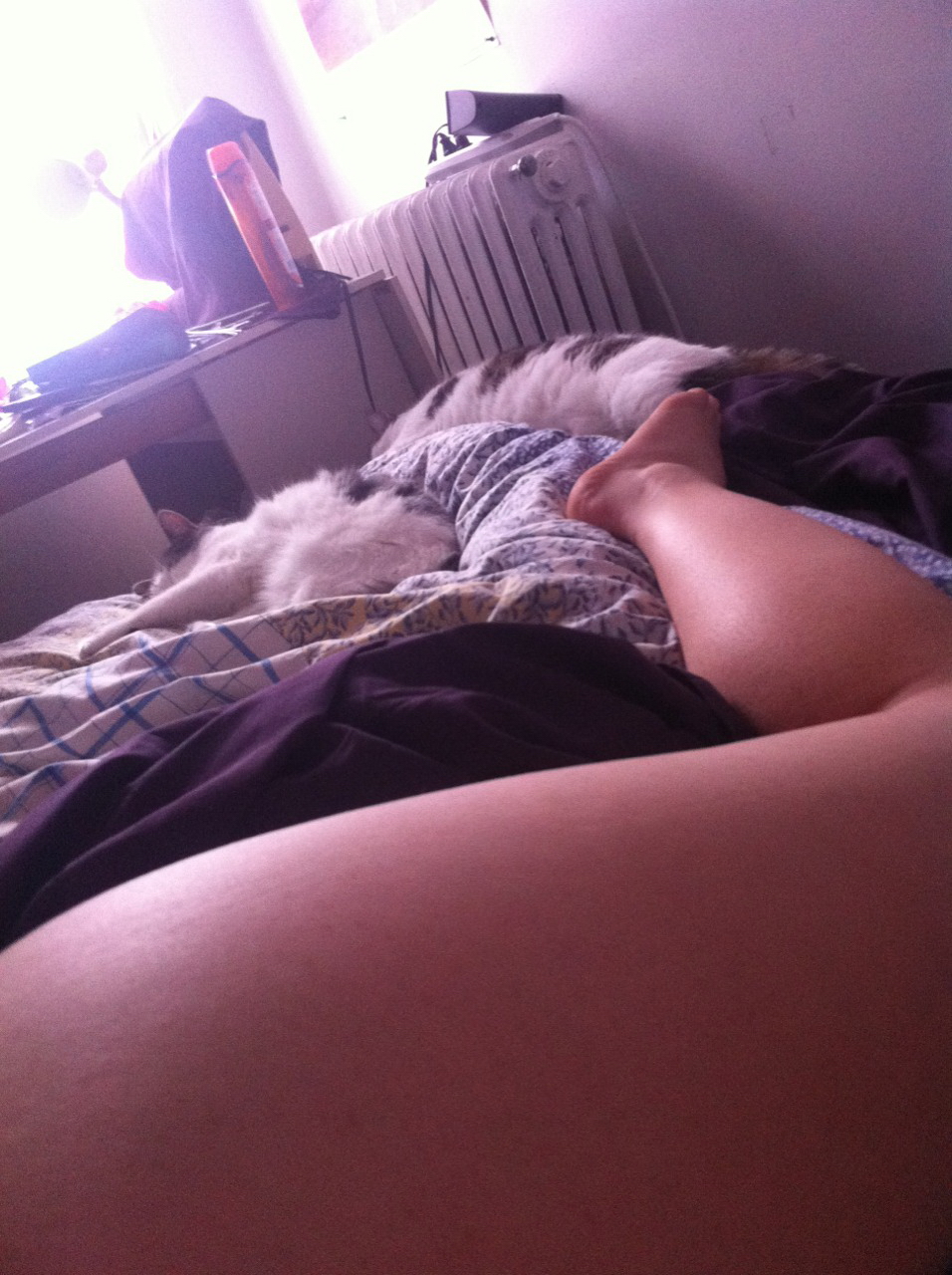 The Equivalent of Ginger