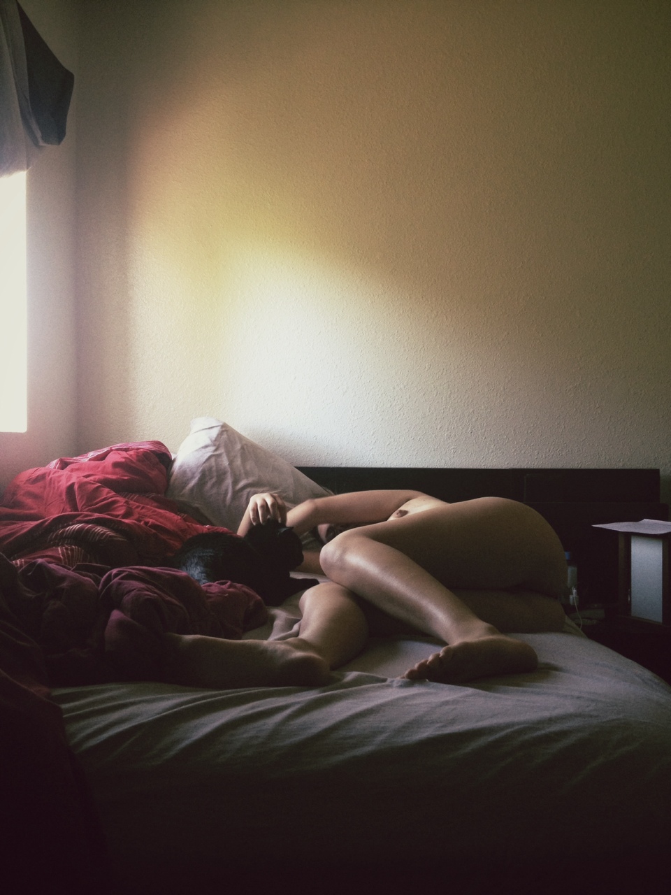 Wondering Where It All Went Right