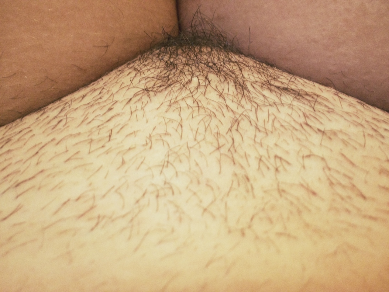 Wondering Where It All Went Right