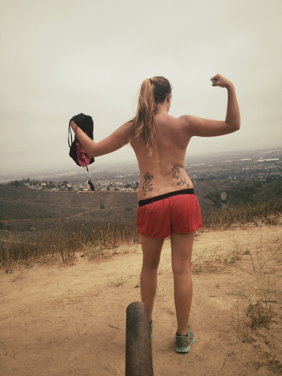 Wondering Where It All Went Right