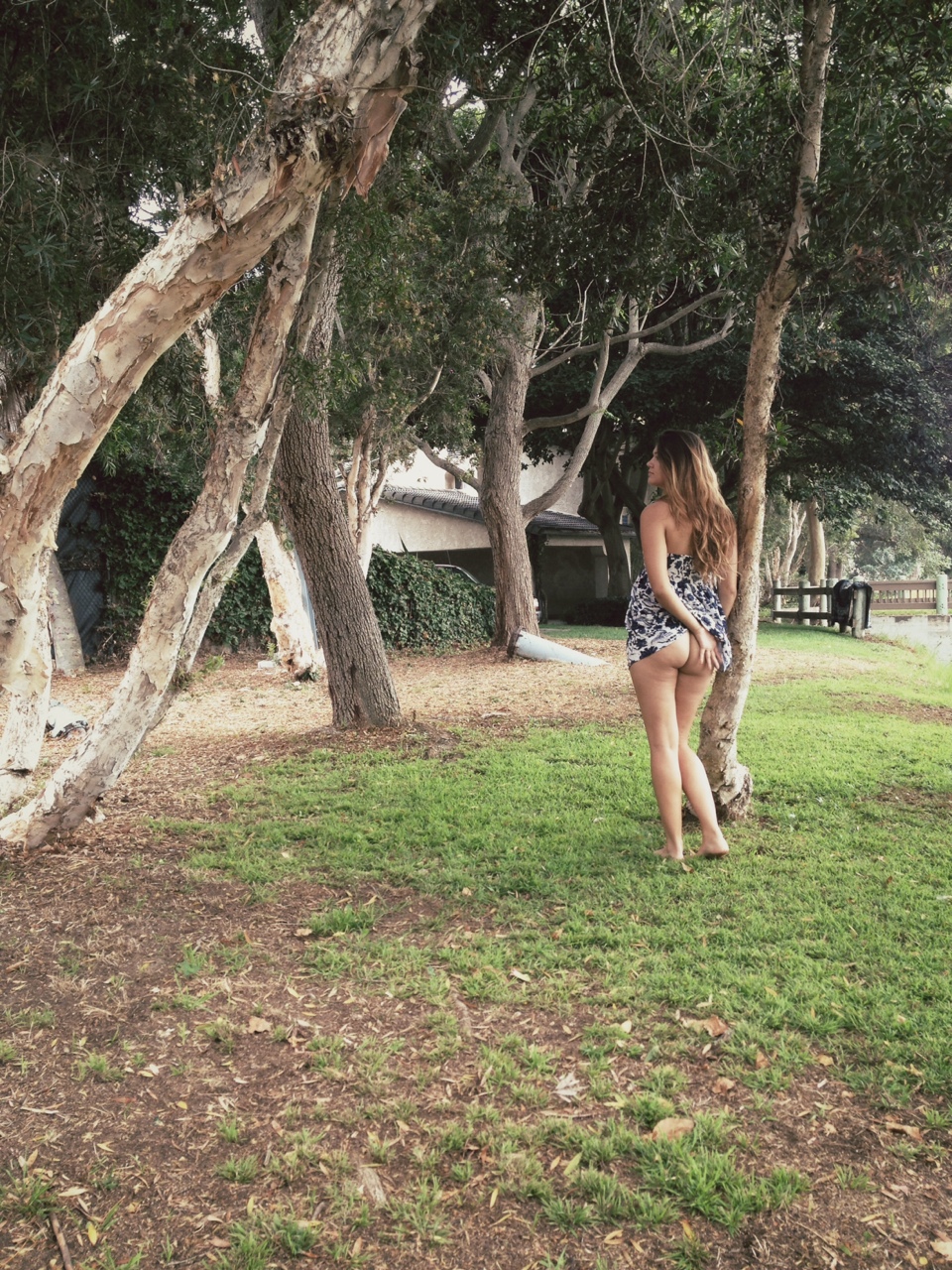 Wondering Where It All Went Right