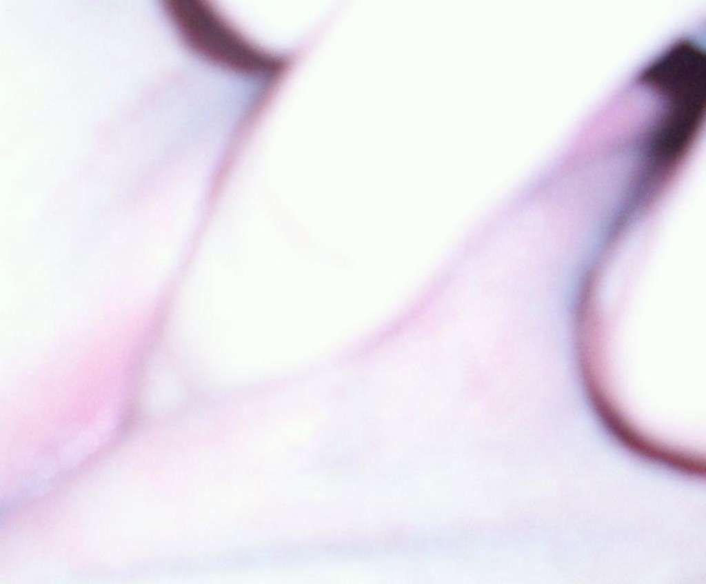 Thick Cutie Masterbates