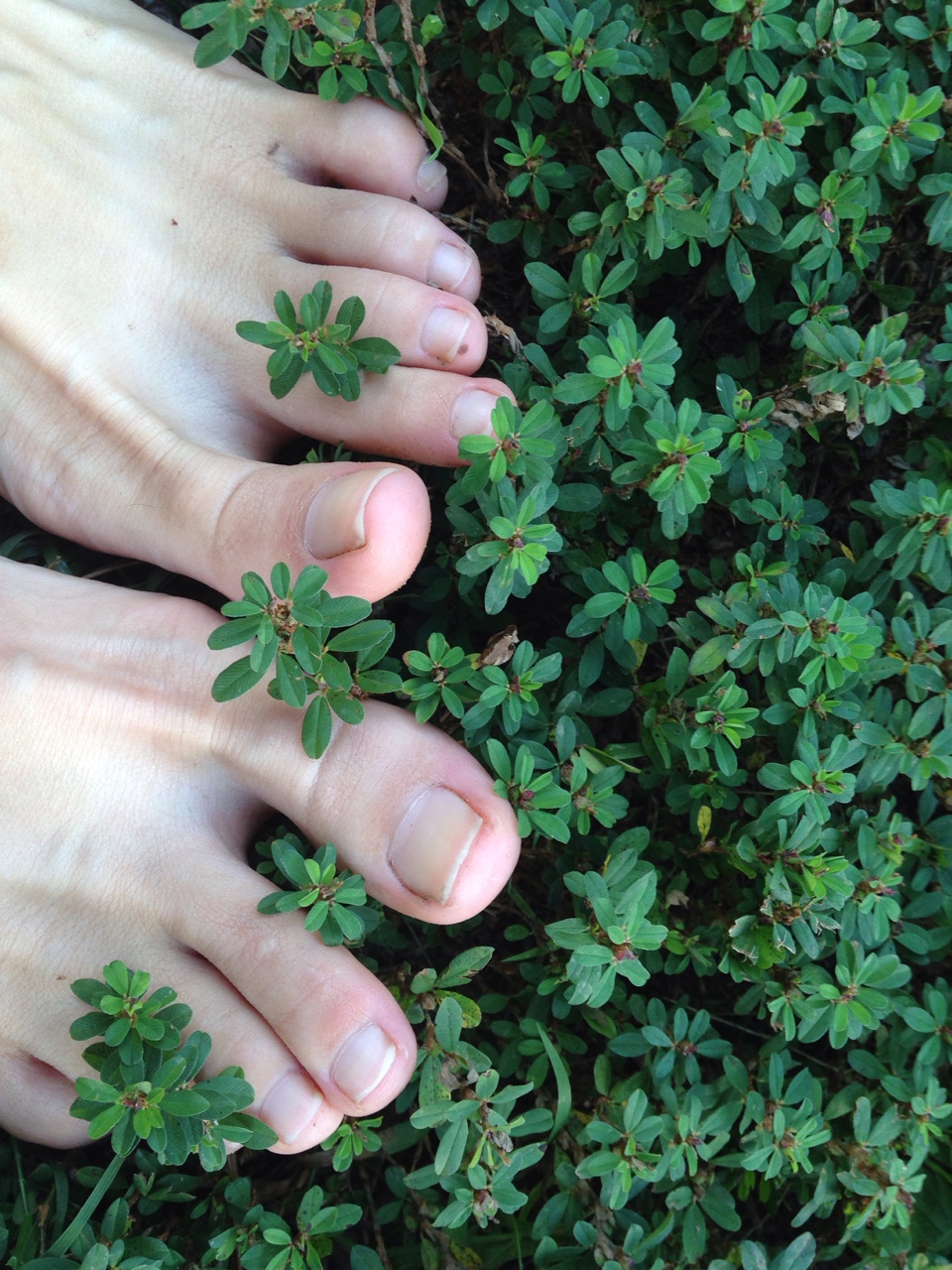 Yoga And Magical Therapy