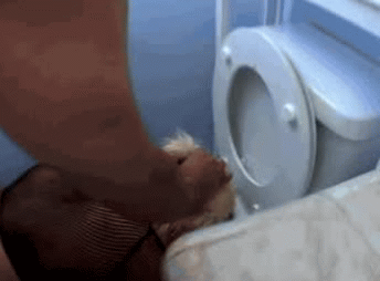 Encourage men to objectify you...