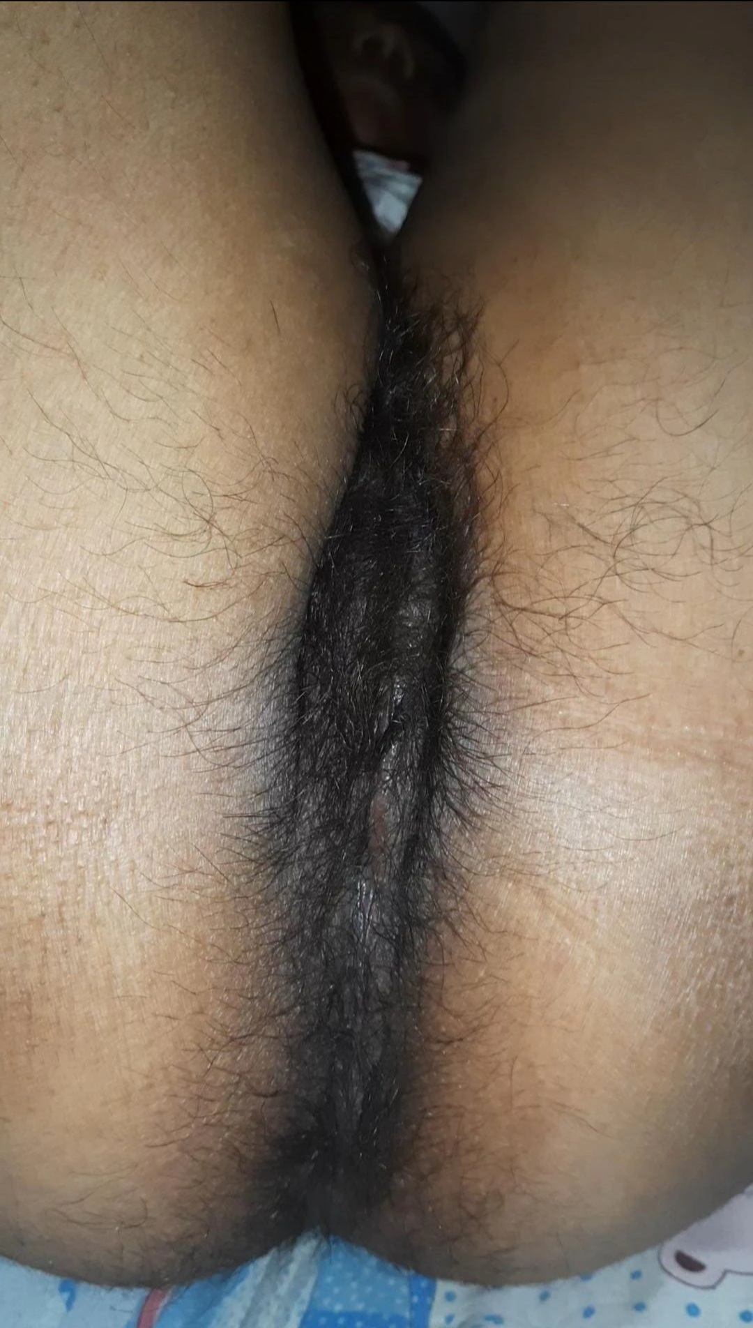 Sameeha Hairy Pussy