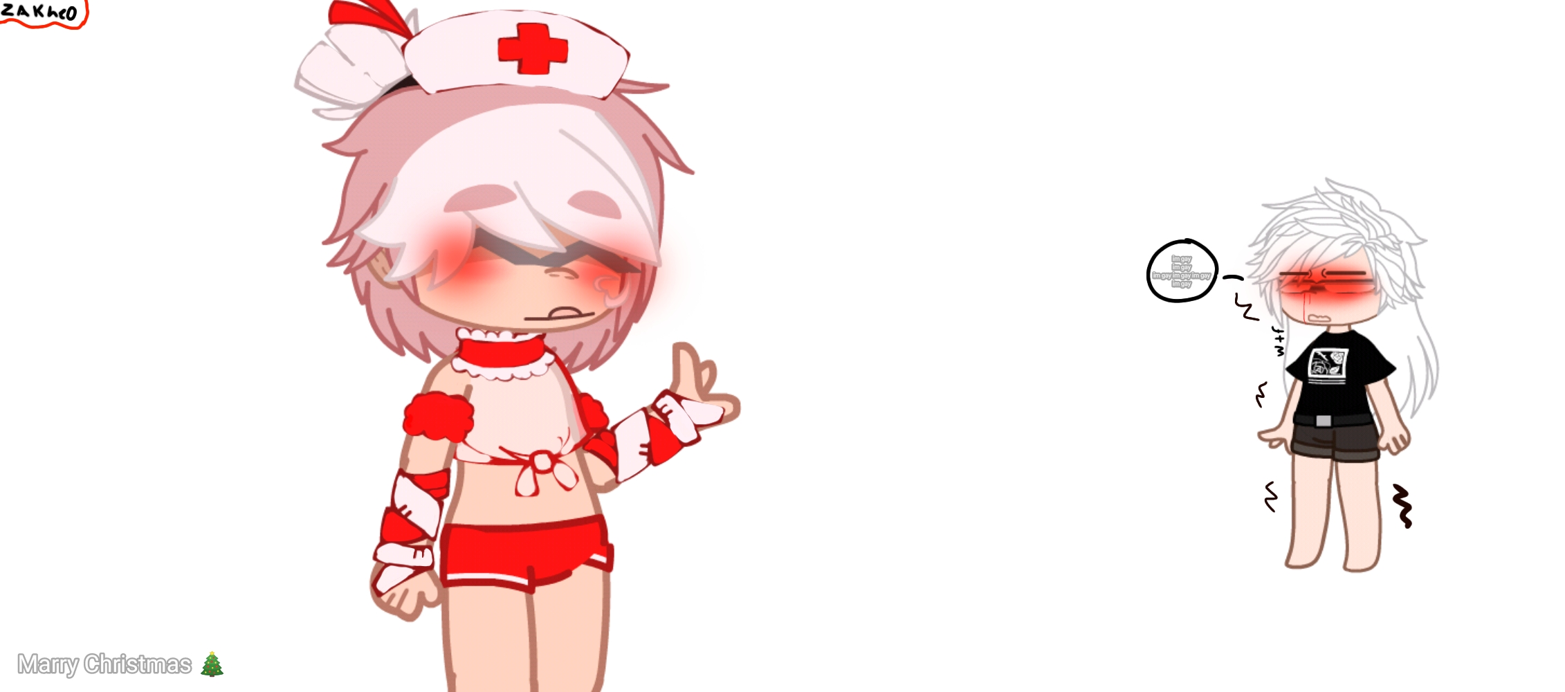 Merry Christmas ( almost forgot to post this)