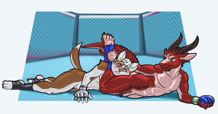 MMA R34 (Rule34)