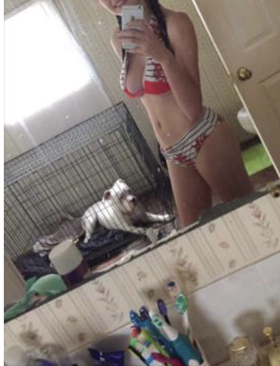 Some nice pics from the web