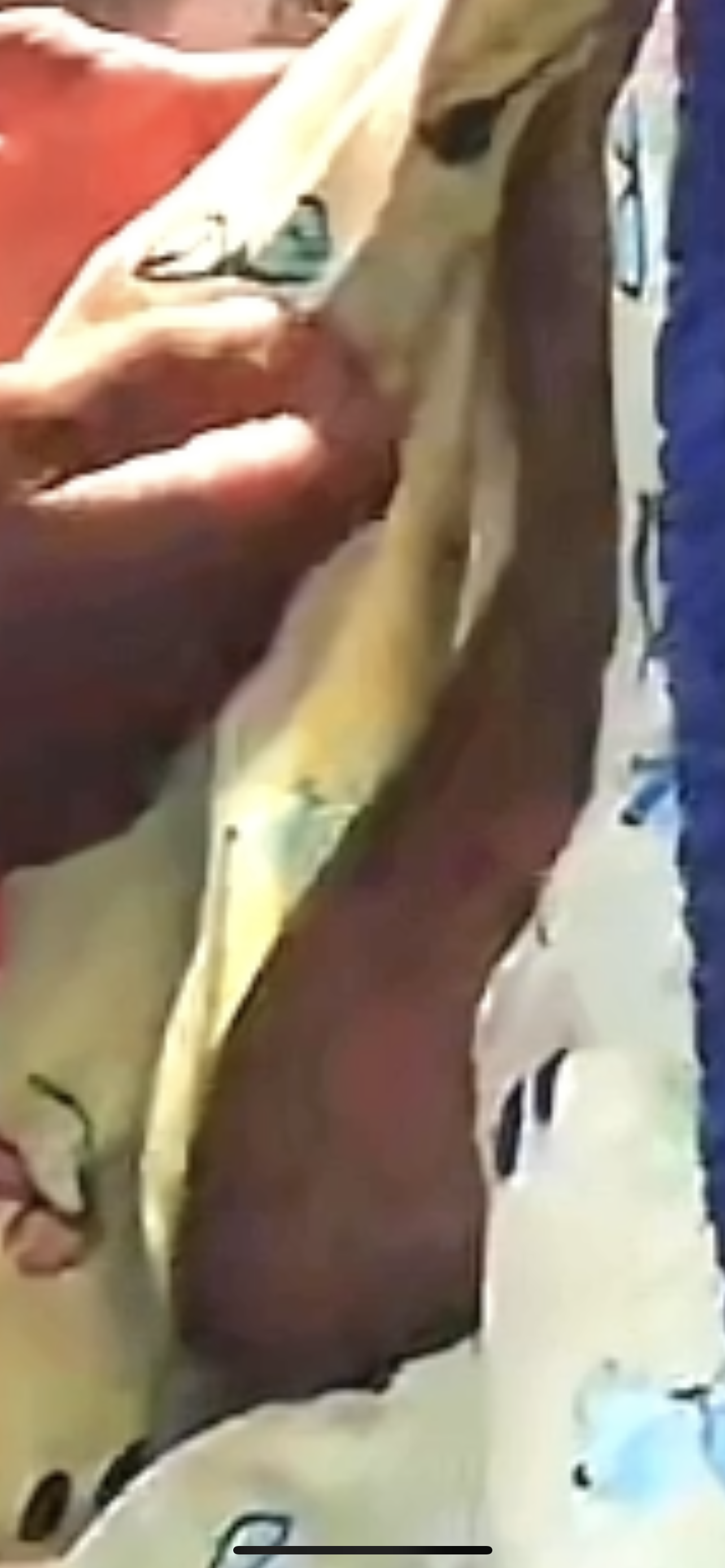 I’m starting to understand the obsession with TikTok