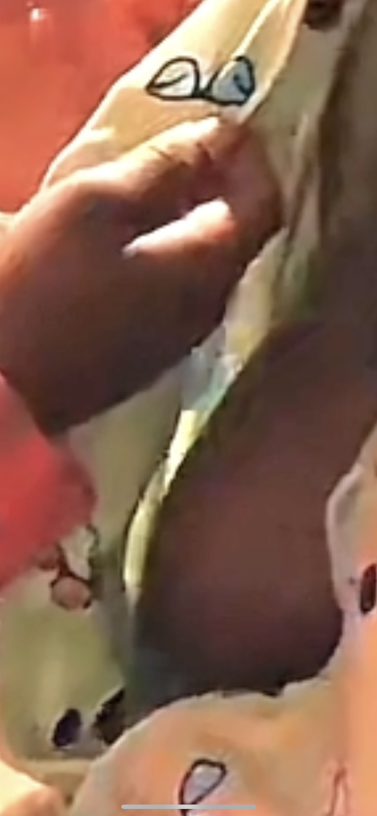 I’m starting to understand the obsession with TikTok