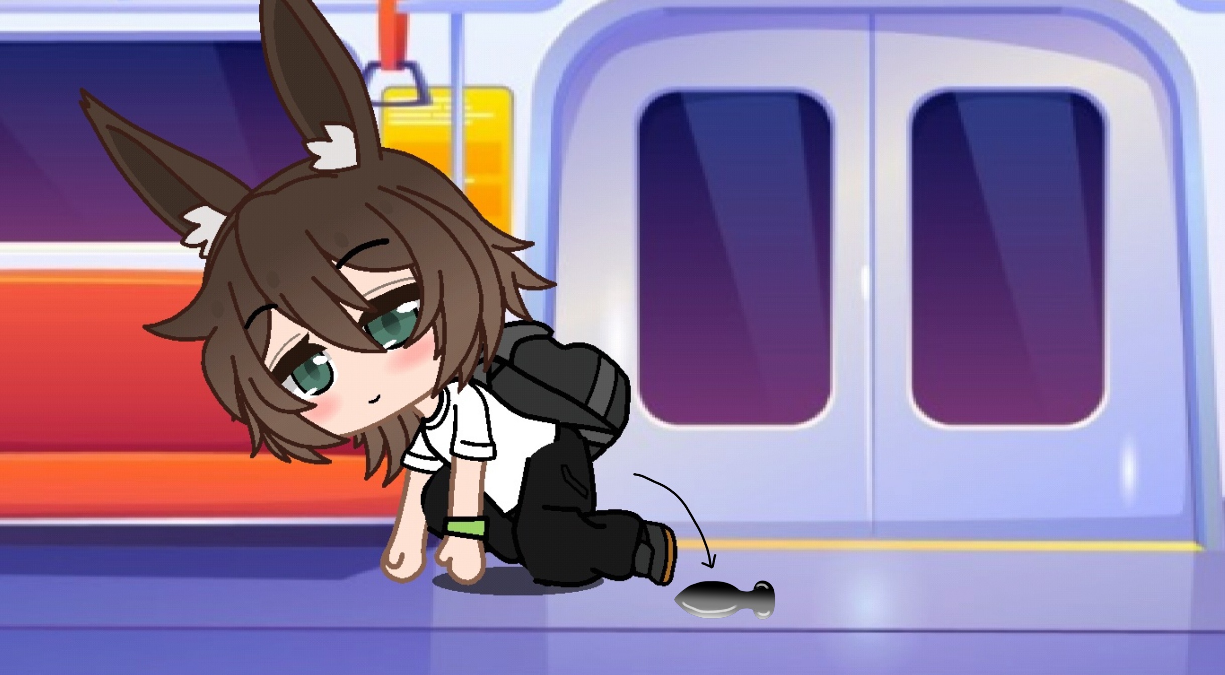 Nicolas accidentally drops something on the Train