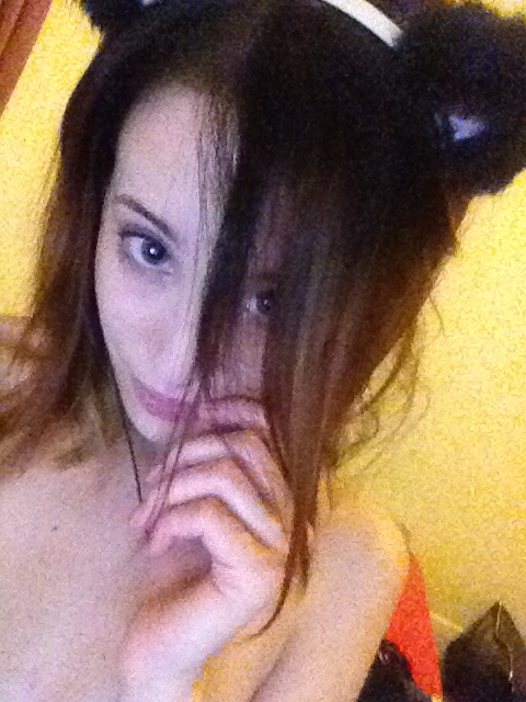 Feline Kitty Ca tKitten