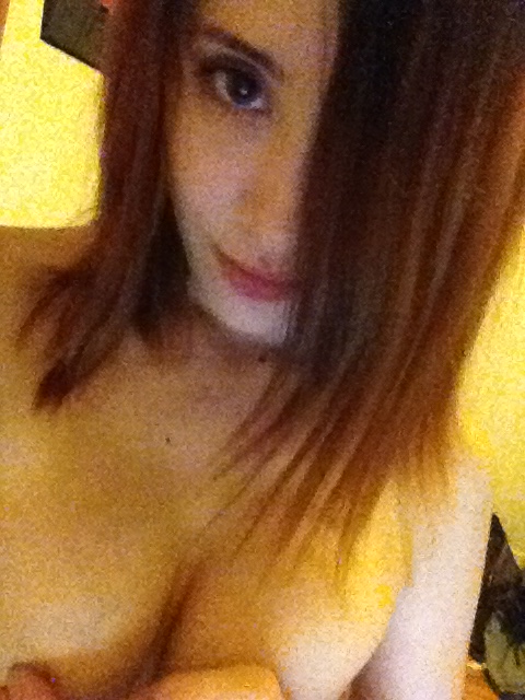 Feline Kitty Ca tKitten