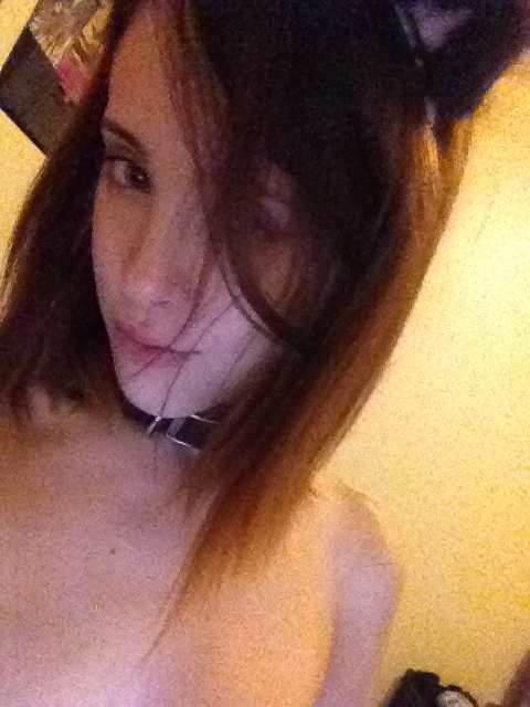 Feline Kitty Ca tKitten