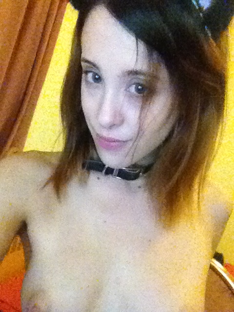 Feline Kitty Ca tKitten