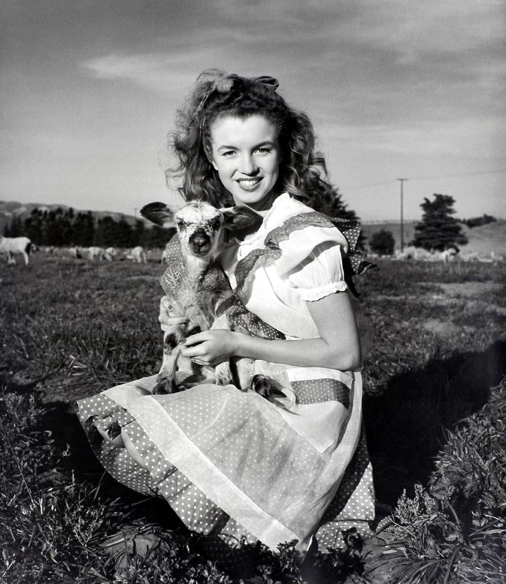 Marilyn Monroe