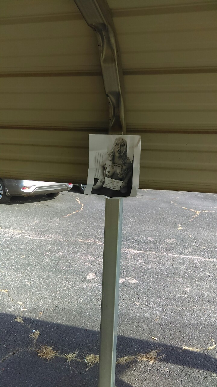 Pigs Dianna and Mike