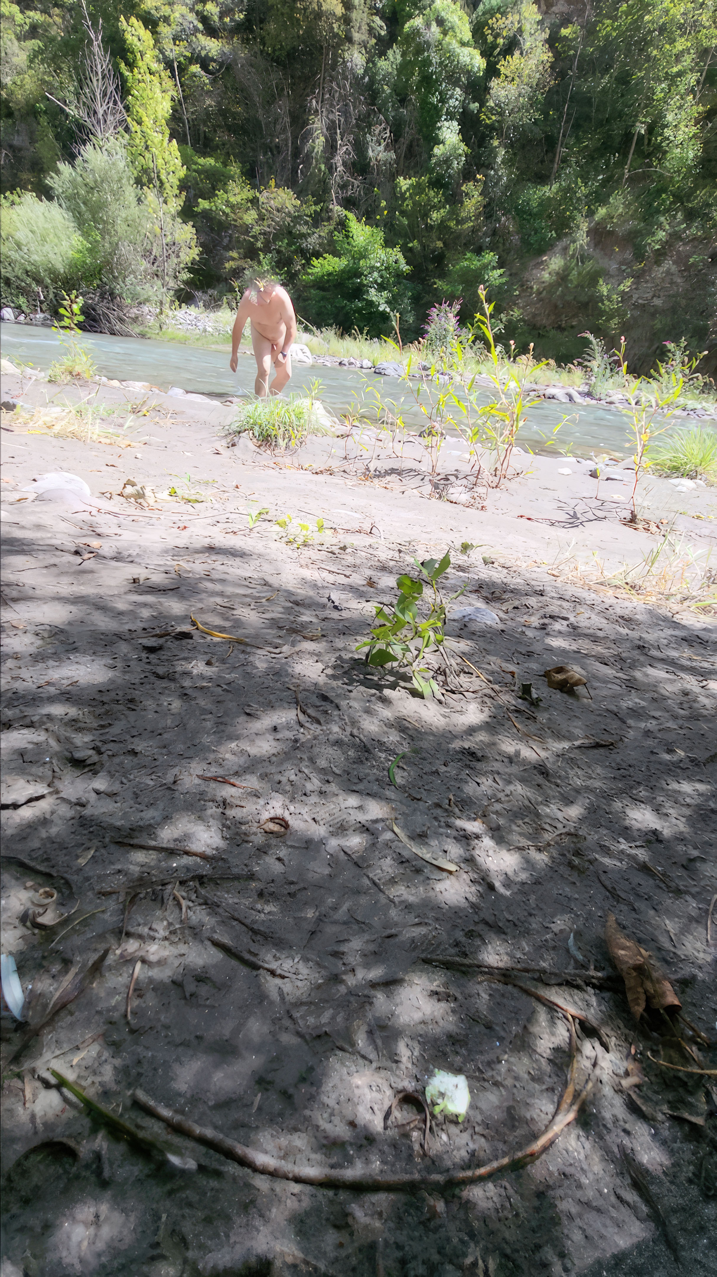 Bathing in the creek