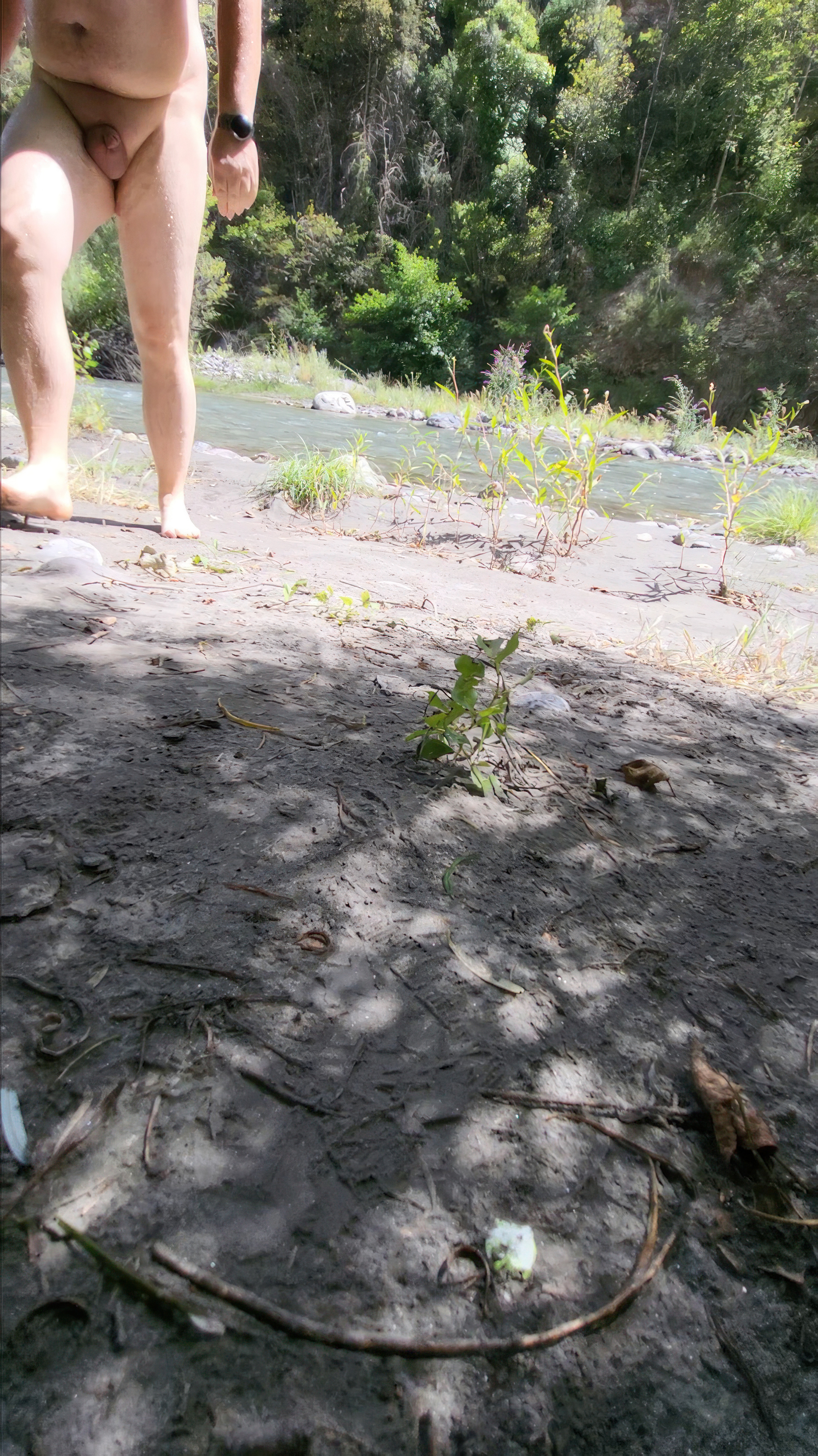Bathing in the creek