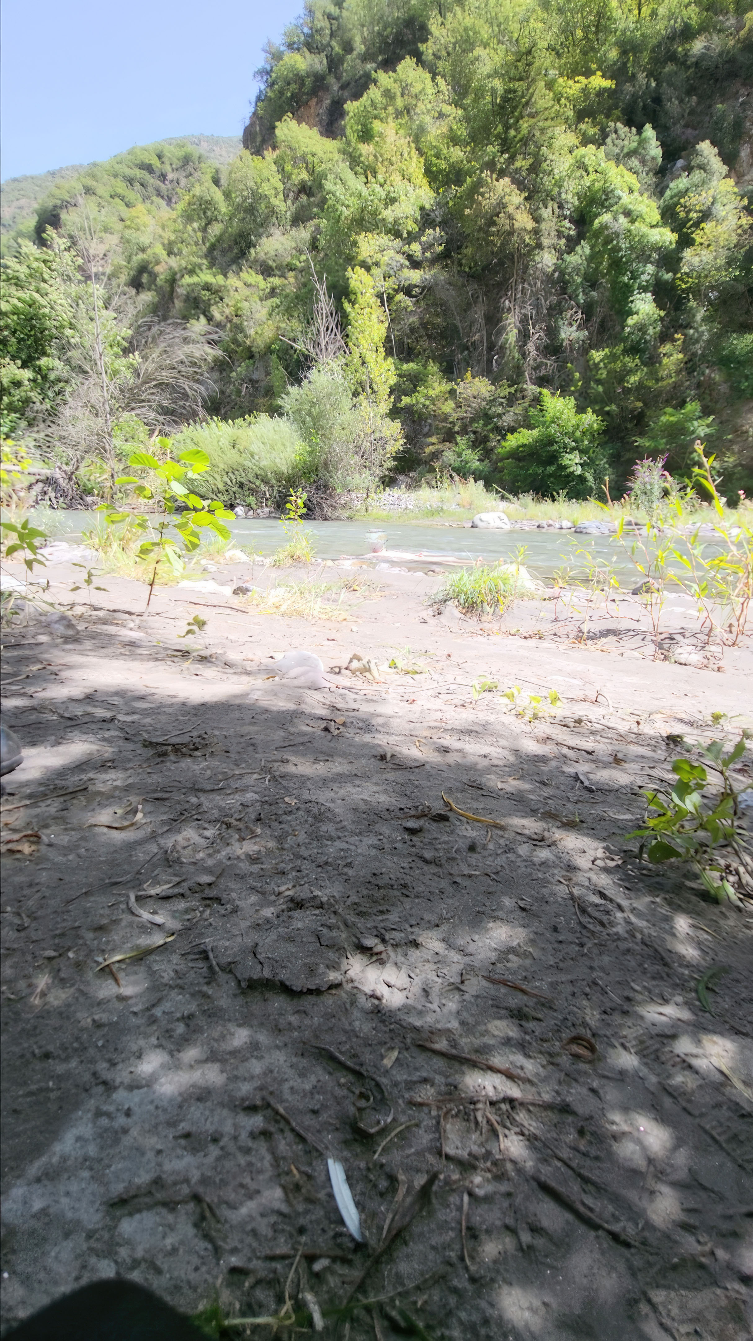 Bathing in the creek