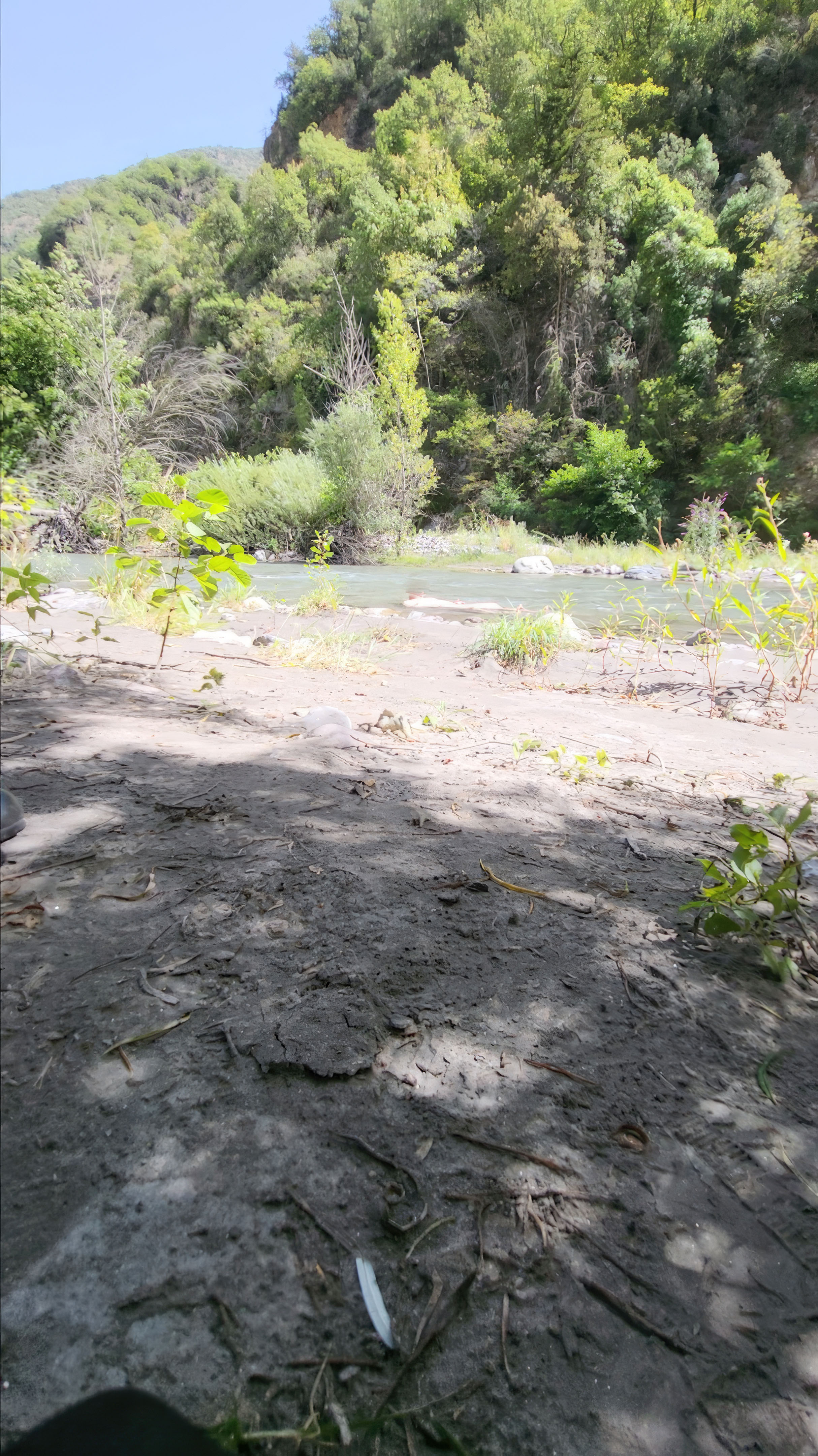 Bathing in the creek