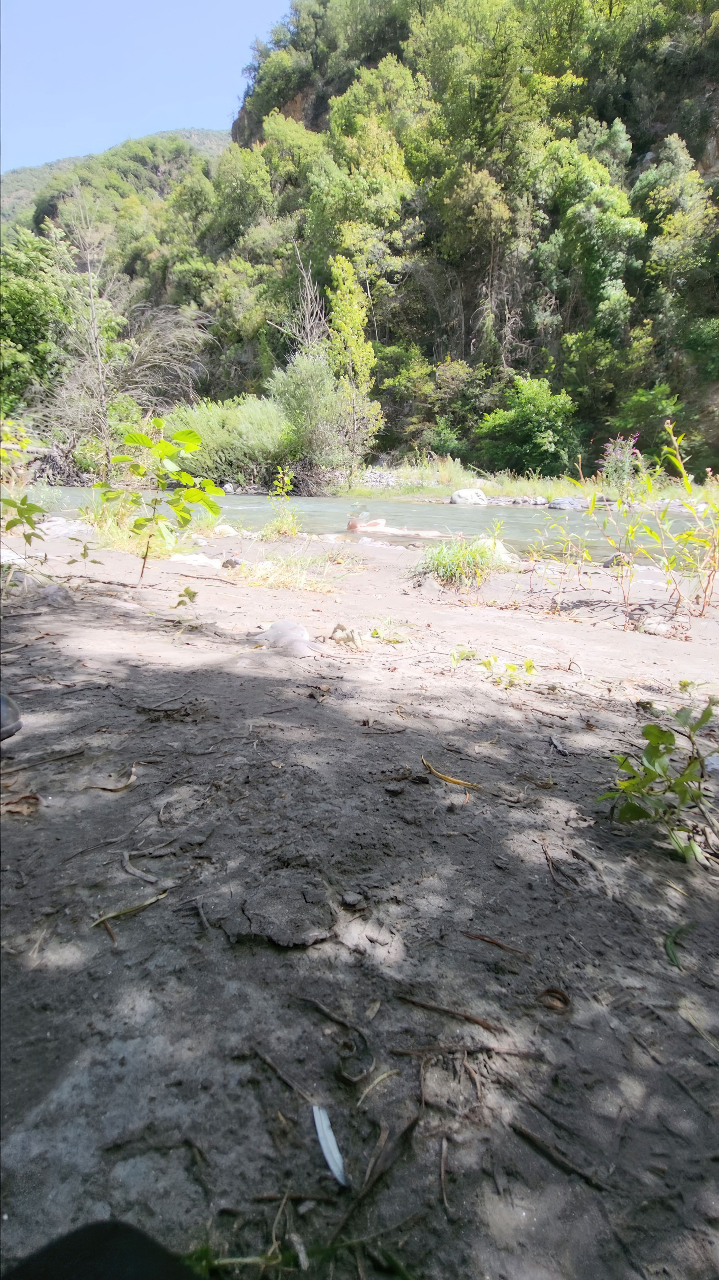 Bathing in the creek