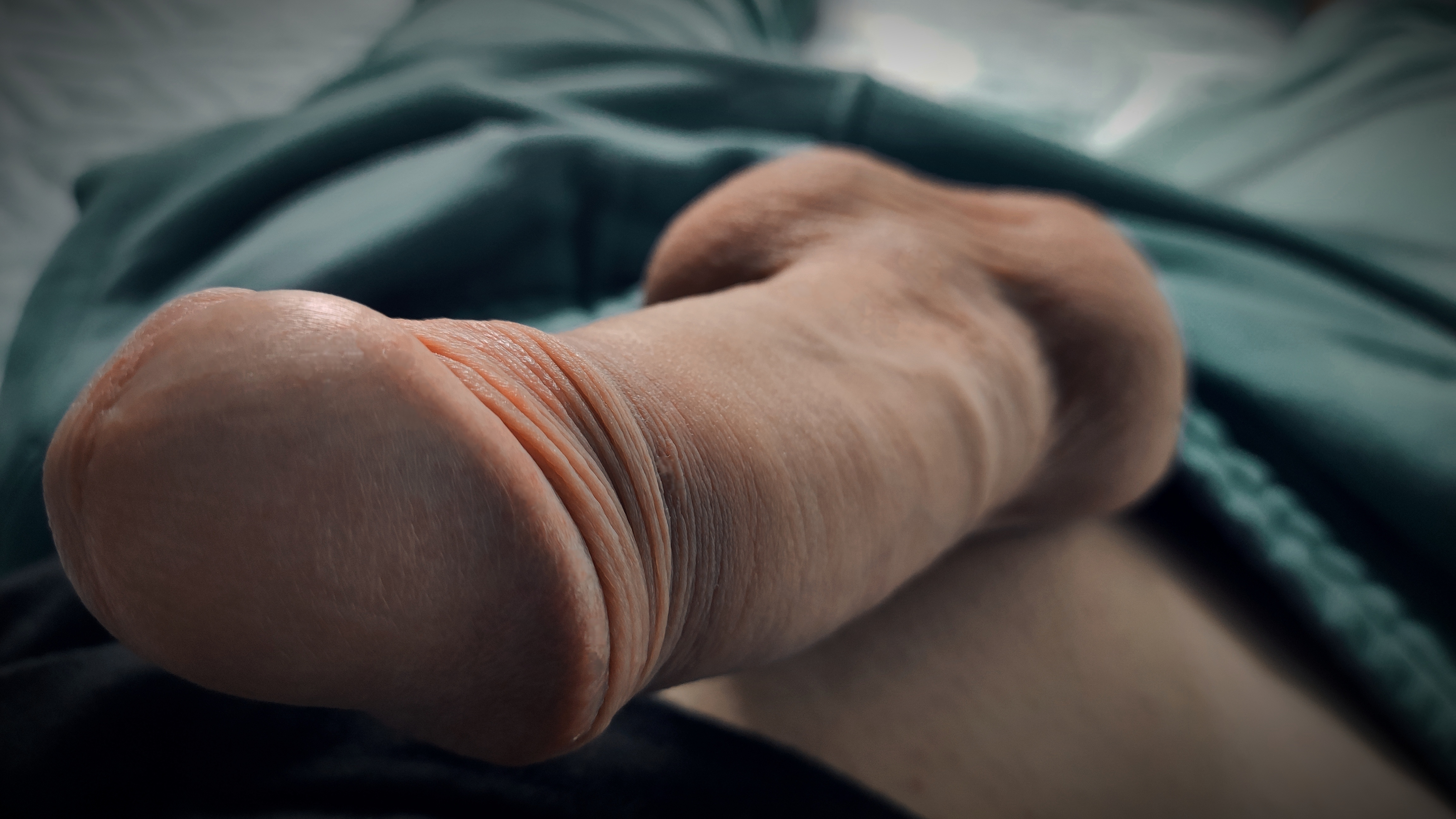 Beautiful white cock