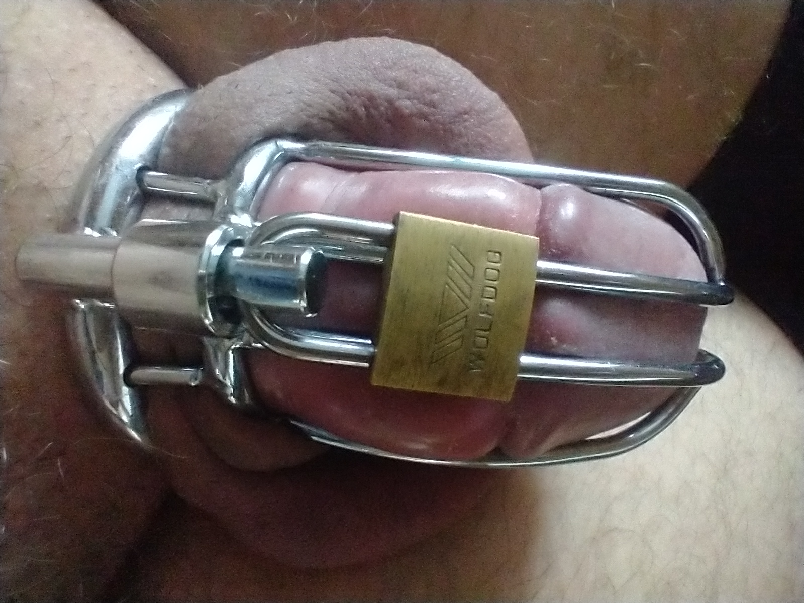 Chastity