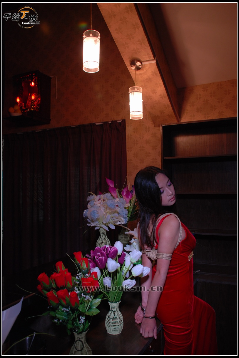 Chinese Rope Model 5