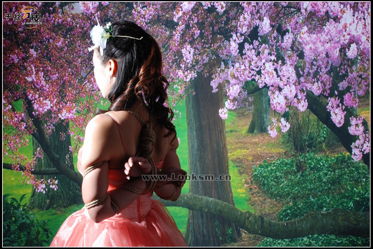 Chinese Rope Model 12