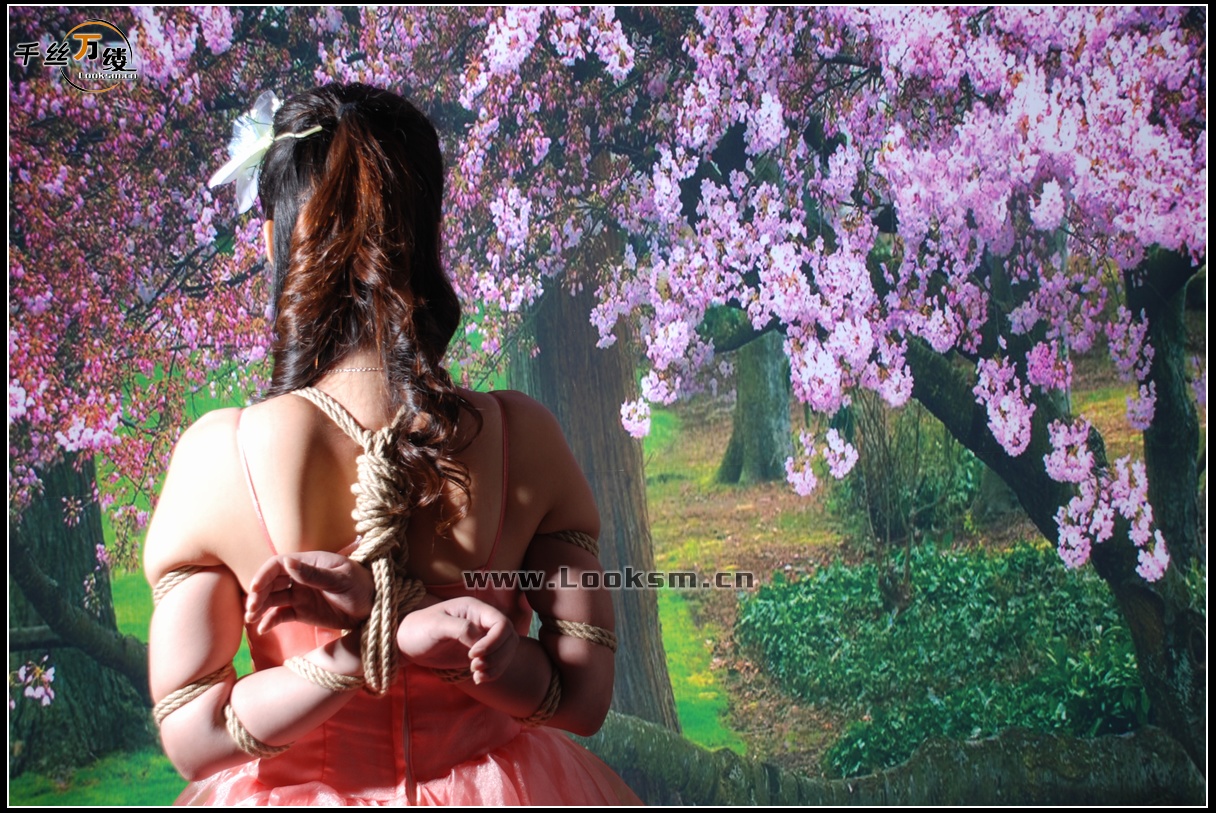 Chinese Rope Model 12