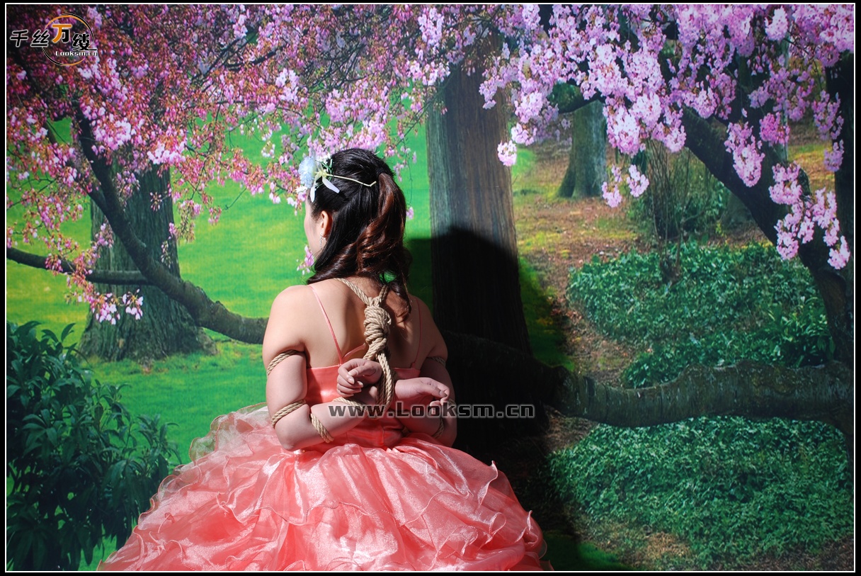 Chinese Rope Model 12