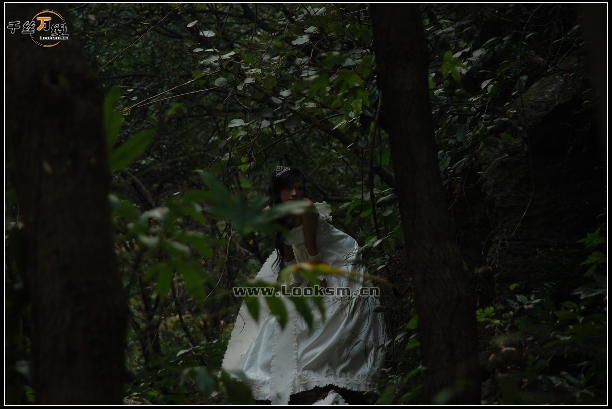 Chinese Rope Model 38