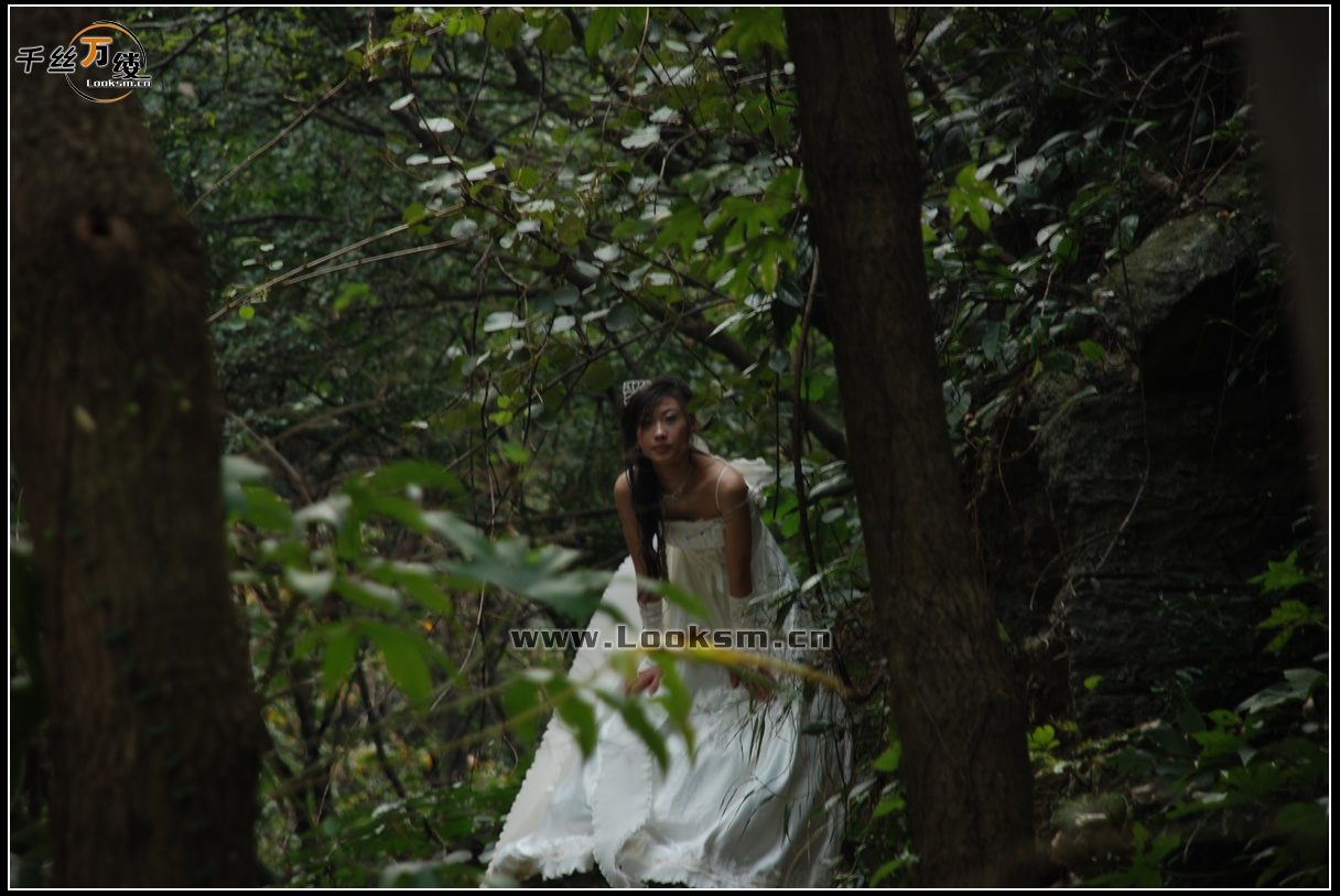 Chinese Rope Model 38