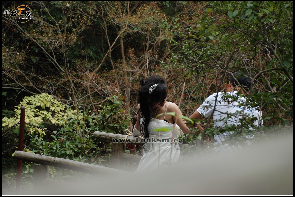 Chinese Rope Model 38