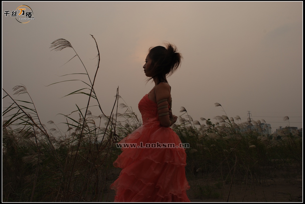 Chinese Rope Model 55