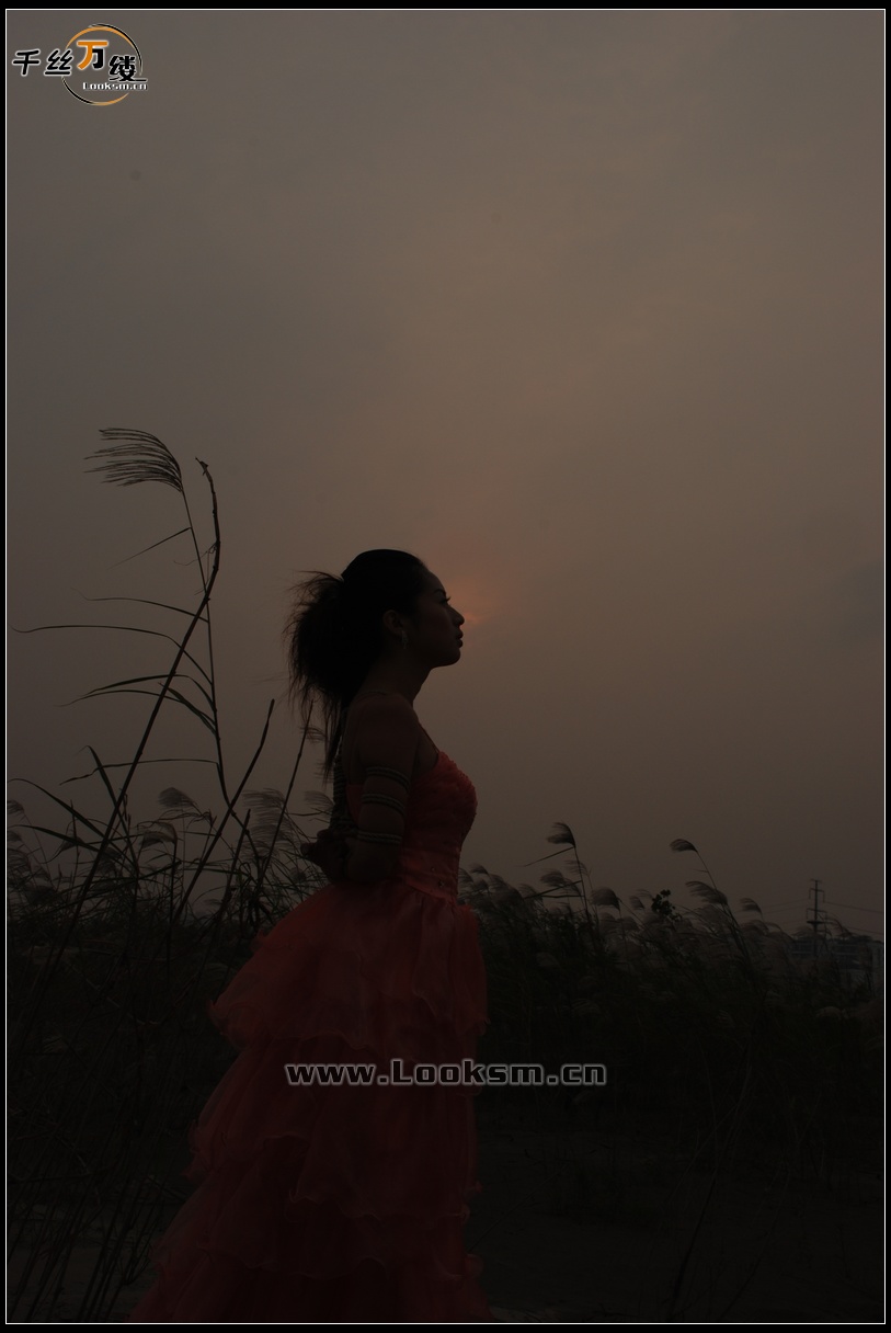 Chinese Rope Model 55